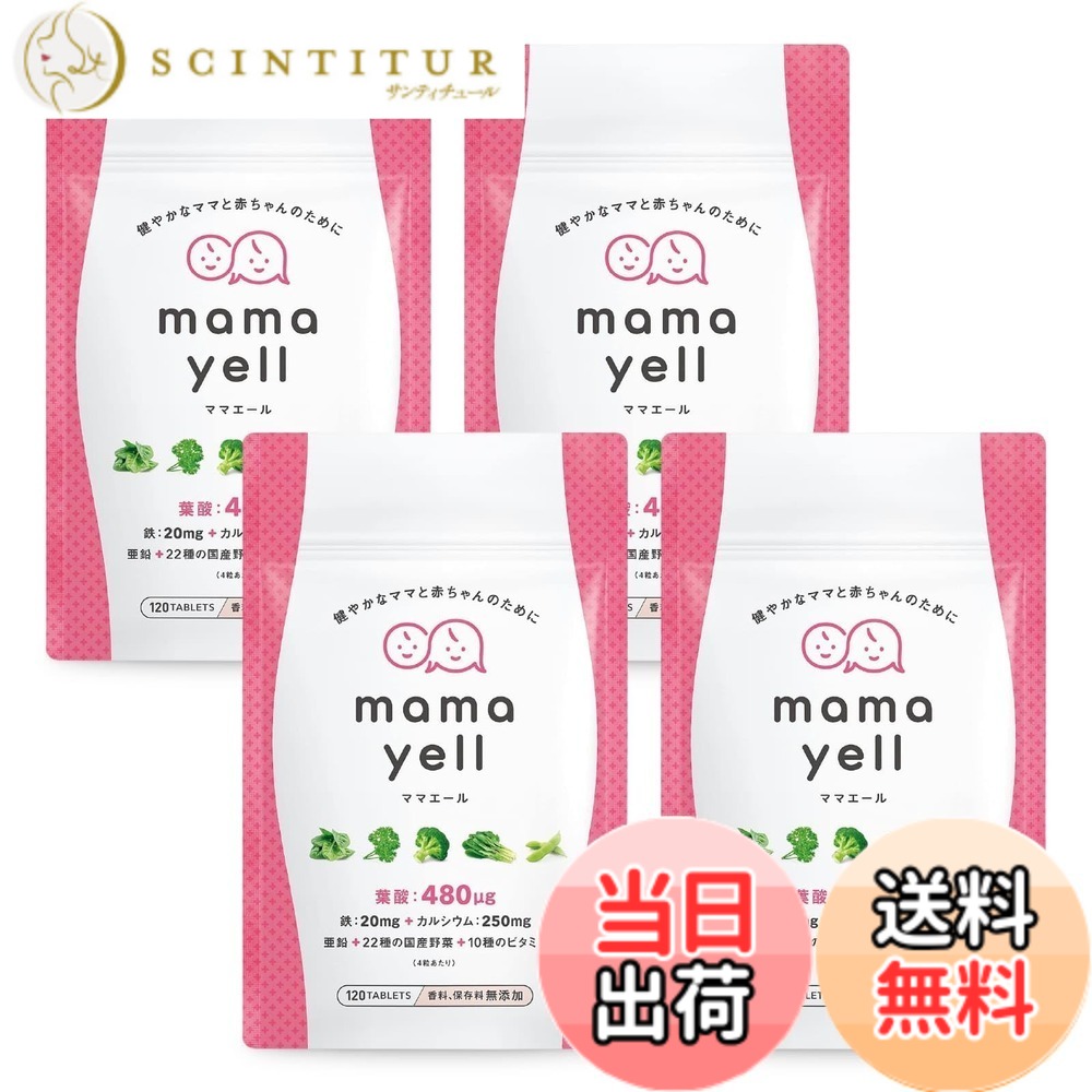 【送料無料】ママエールー親VerC