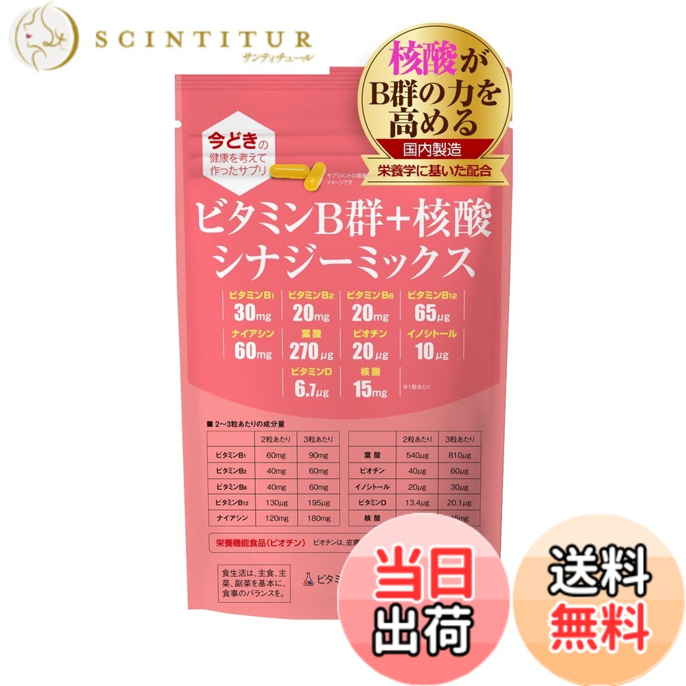 【送料無料】ビタミンB群+核酸 シナジーミックス サイズ：1袋