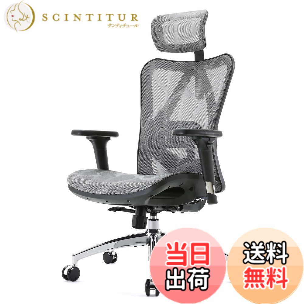 【送料無料】SIHOO M57 メッシュチェア オフィスチェア 人間工学 椅子 疲れない デスクチェア「S字立体背もたれ 3Dアームレスト 可動式ランバーサポート 126°リクライニング 2Dヘッドレスト」pcチェア メッシュ パソコン 人体工学椅 ワーク 事 色：グレー、サイズ：大型