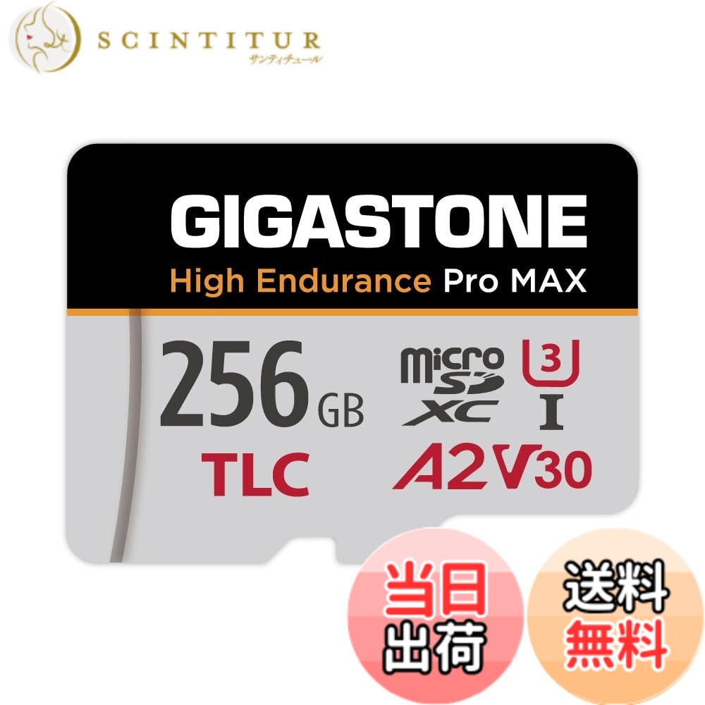 【貨物輸送無料】MSD-High Endurance Group 1 色：256GB High Endurance Pro MAX 1-Pack