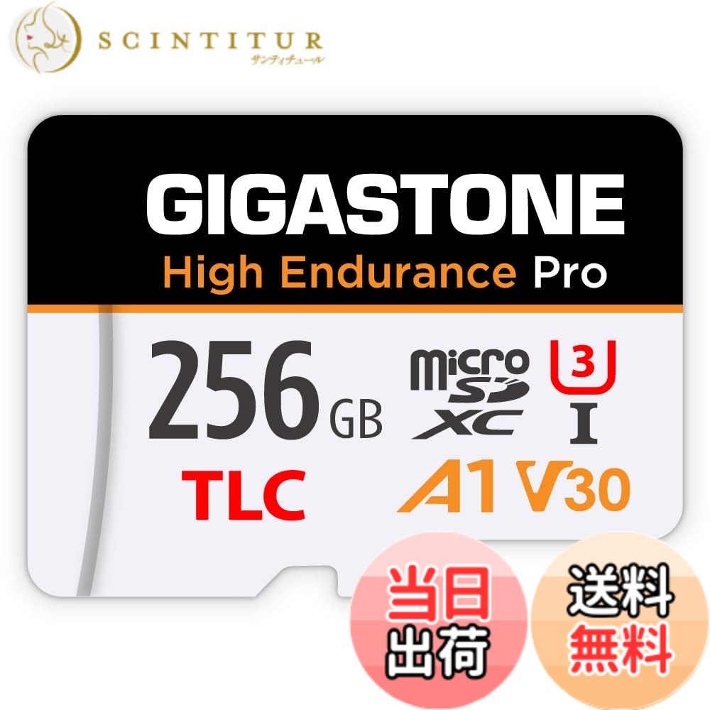 【貨物輸送無料】MSD-High Endurance Group 2 色：256GB High Endurance Pro 1-Pack