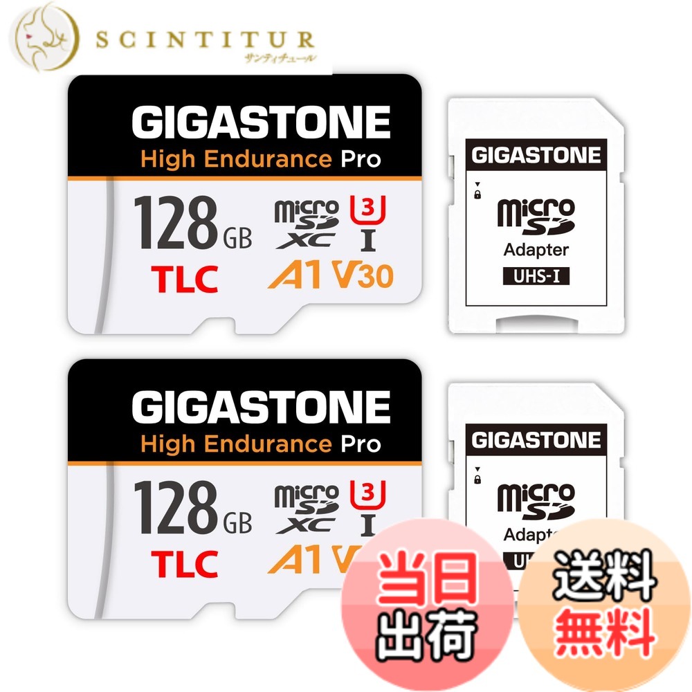 【貨物輸送無料】MSD-High Endurance Group 1 色：128GB High Endurance Pro 2-Pack