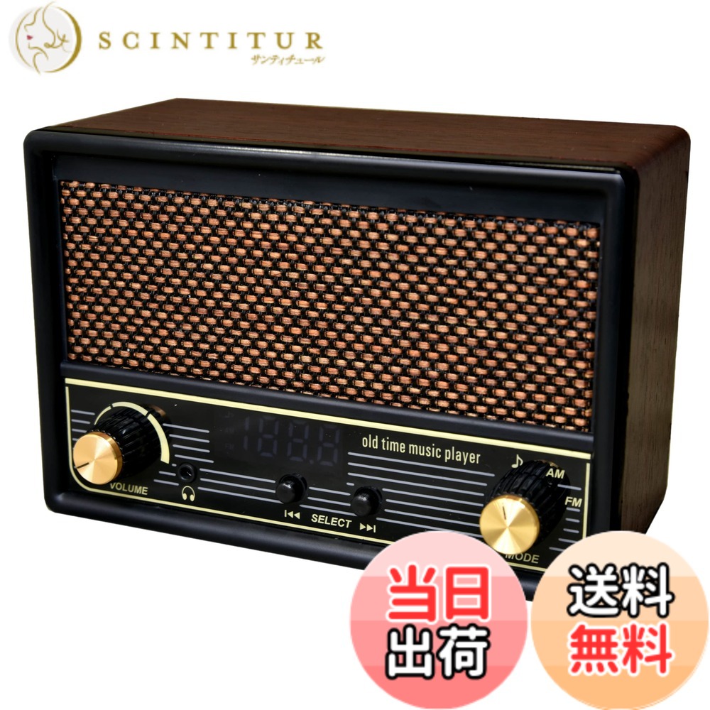 【送料無料】FESCO 唱歌ラヂオ DX100 AM/FMラジオ付き音楽プレイヤー SRDX-001 色：RM