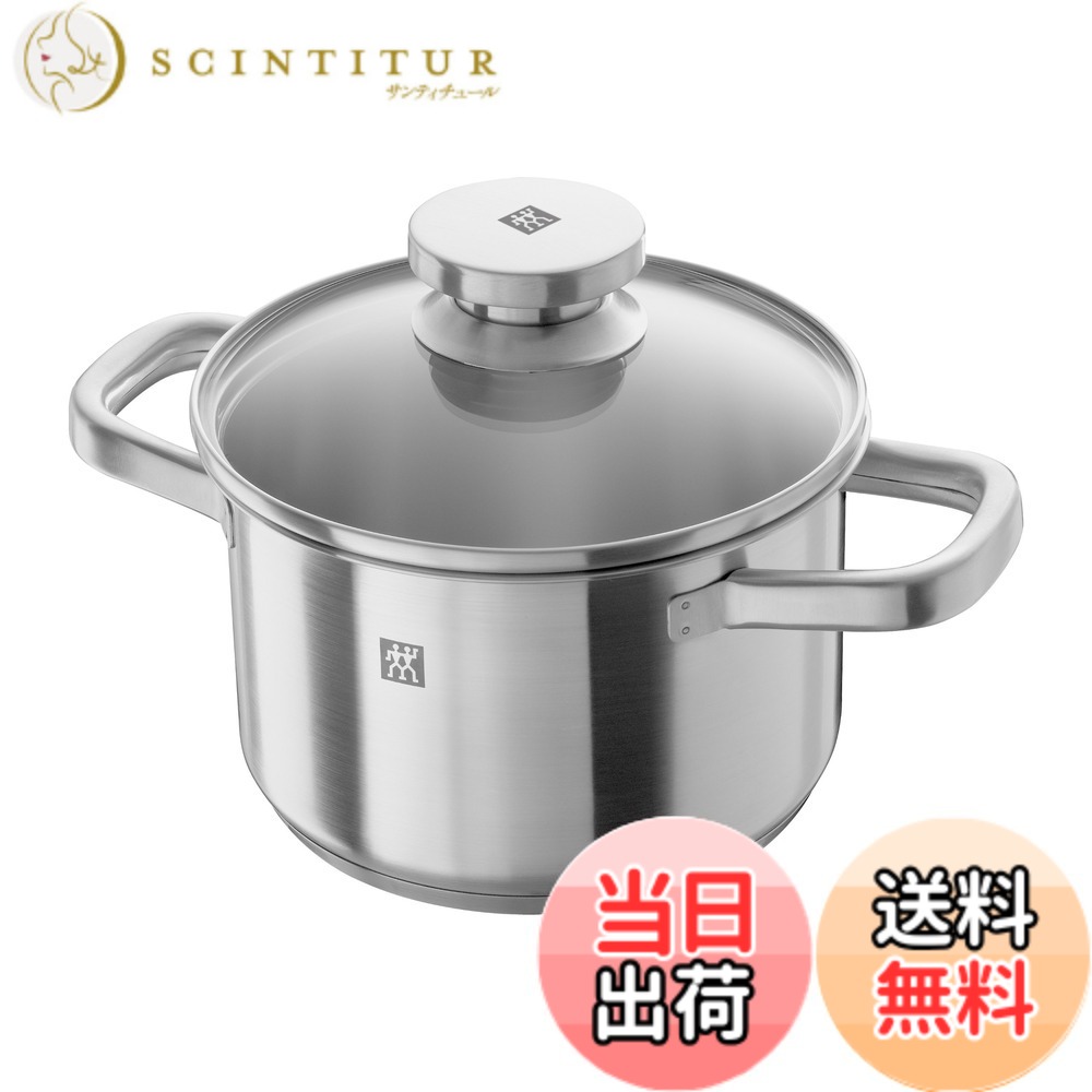 【送料無料】Zwilling ツヴィリング 「 ジョイ 」 色：シルバー、サイズ：6.2 L, 直径 23 cm
