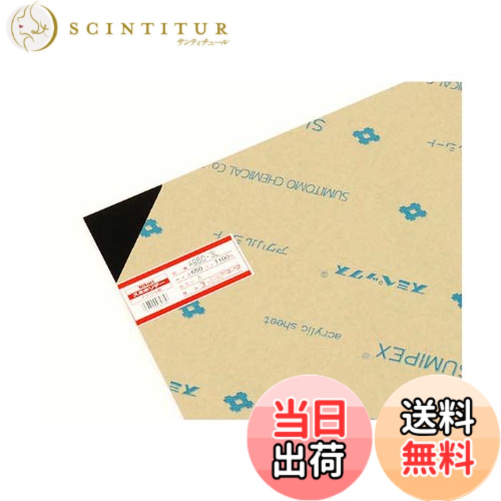 【送料無料】光 スミホリデー アクリル板 色：黒、サイズ：650X1100mm