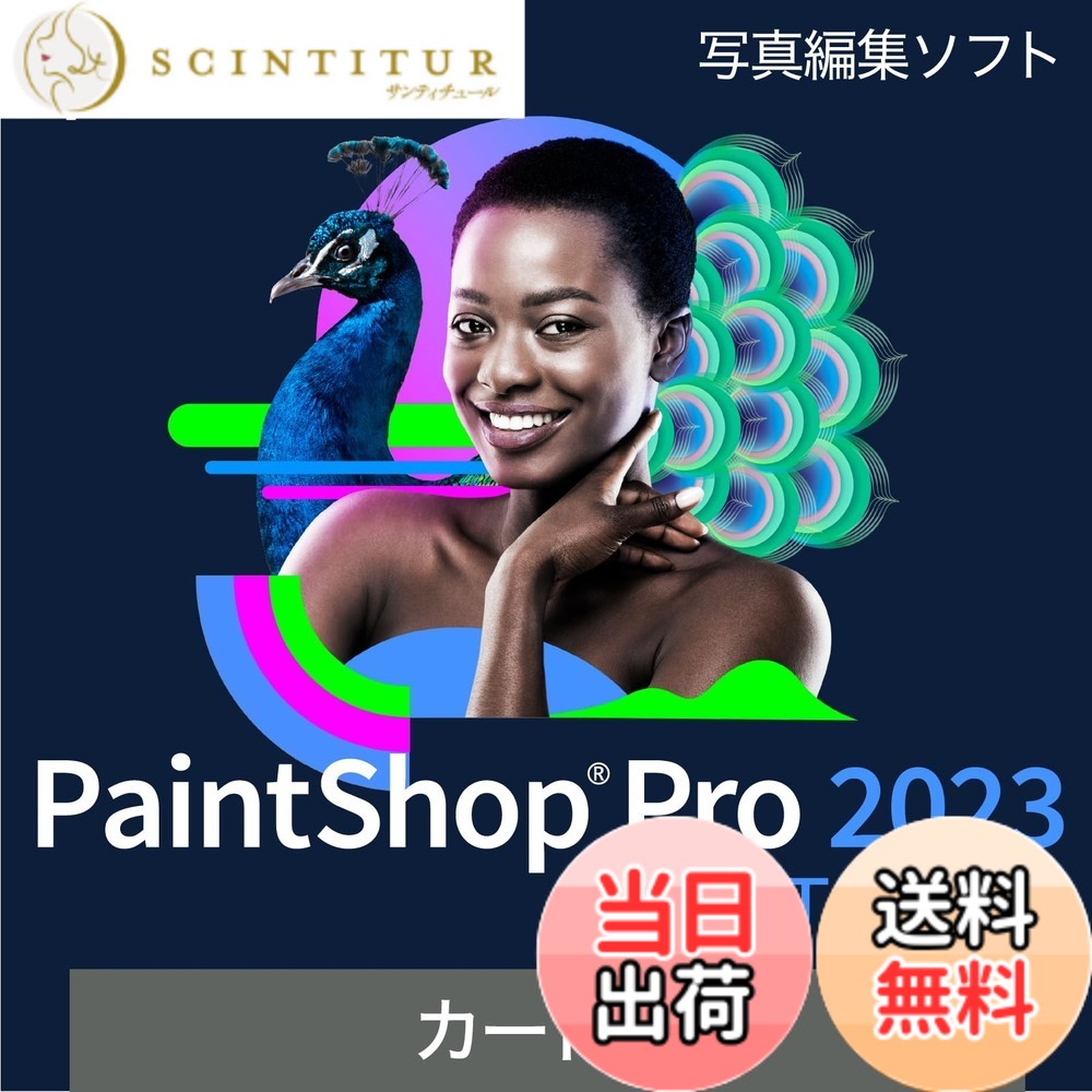 【貨物輸送無料】PaintShop Pro 2023 色：優良版