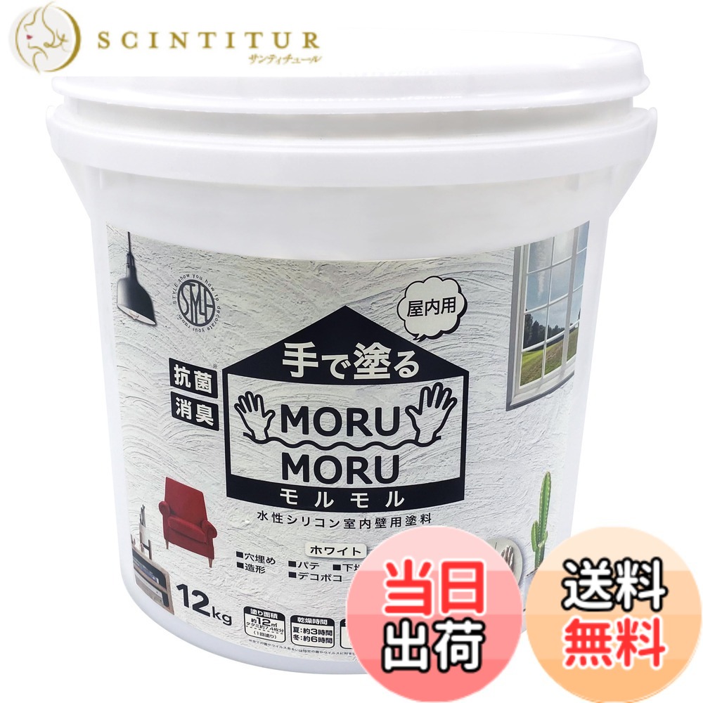 【貨物輸送無料】ニッペ 絵の具 絵の具 STYLE MORUMORU 色：白いこと、大きさ：12kg