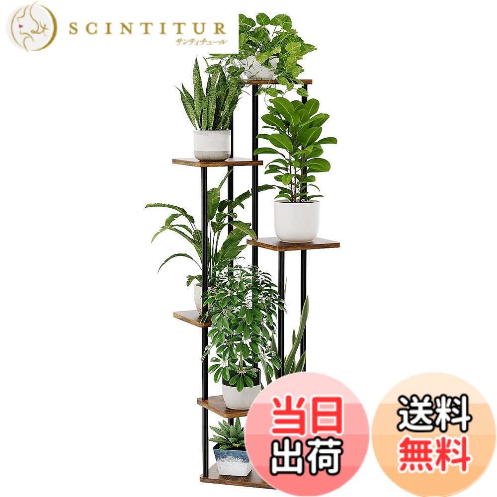 【送料無料】Bamworld フラワースタンド 室内用 プランタースタンド 5段植物 棚 おしゃれ観葉植物台 植木鉢台 玄関 ベランダ 色：濃茶色