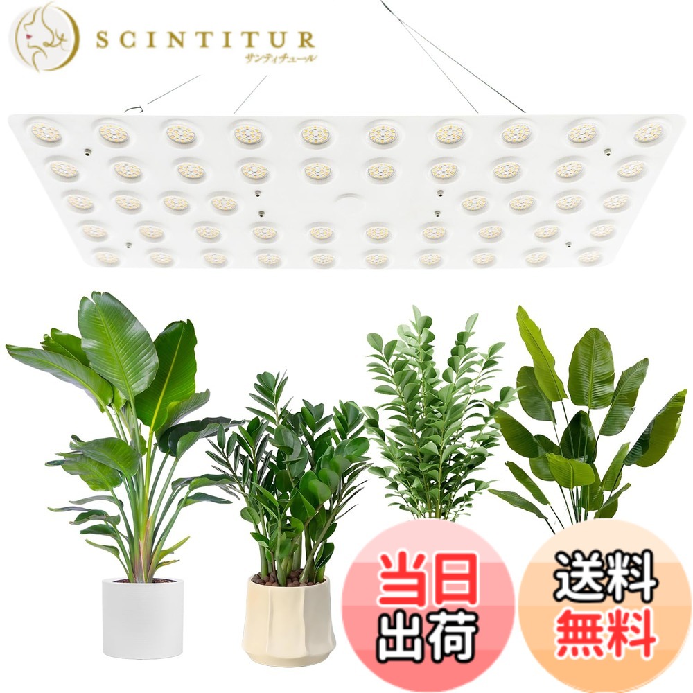 【送料無料】bseah室内植物成長灯、全スペクトル室内成長灯、3種類のモードと10級の調光 サイズ：量子灯240W