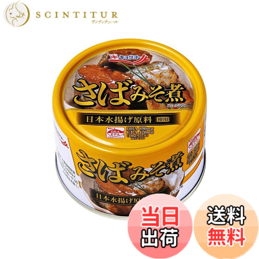 【送料無料】キョクヨー さば160G x24個 サイズ:160グラム (x 24)