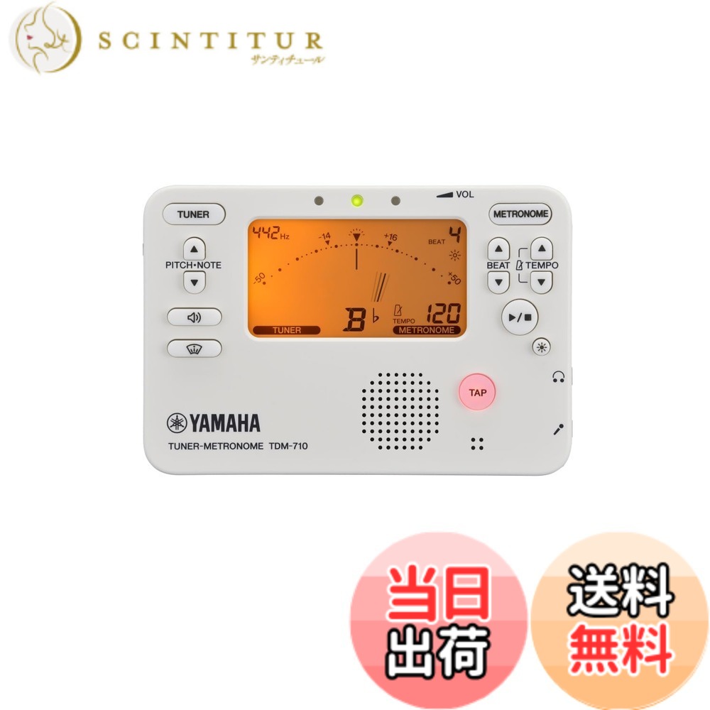 【送料無料】YAMAHA TDM-710 色：アイボリー