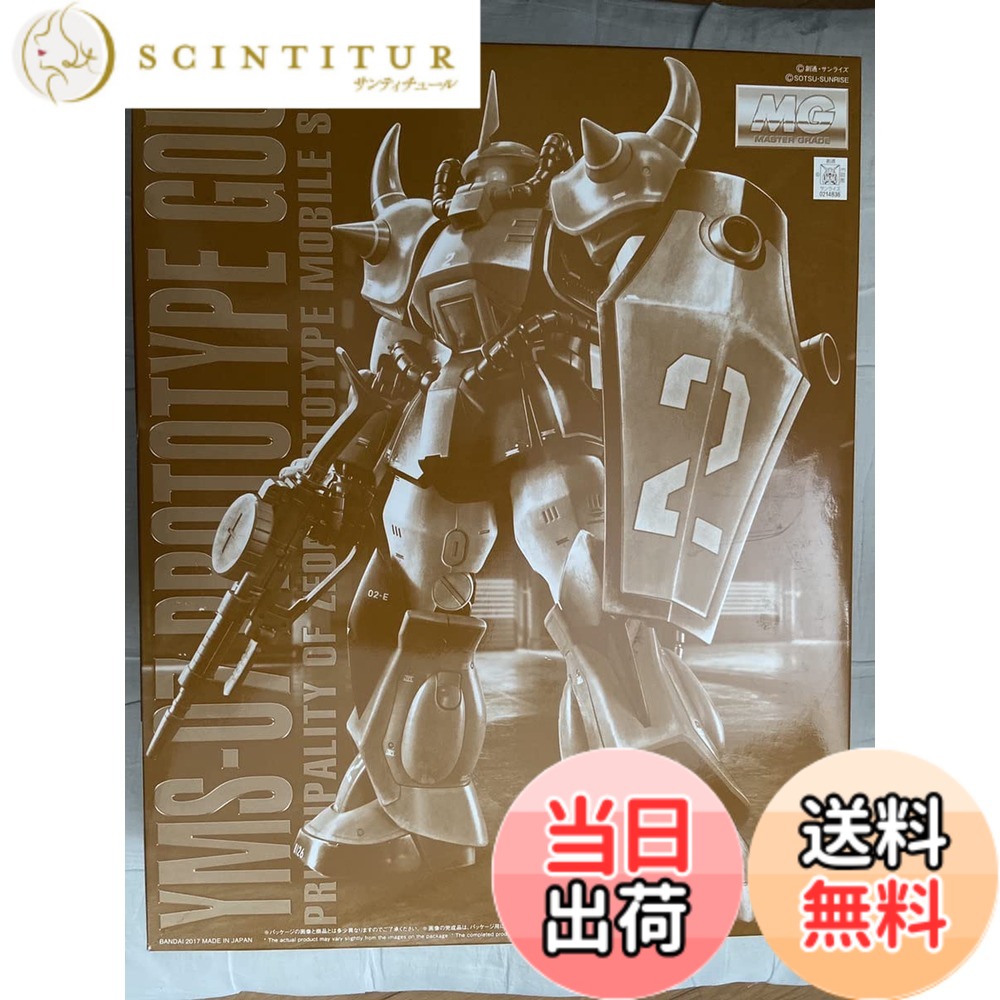 【送料無料】MG 機動戦士ガンダム MSV 1/100 プロトタイプグフ プラモデル (プレミアムバンダイ、ホビーオンラインショップ限定)