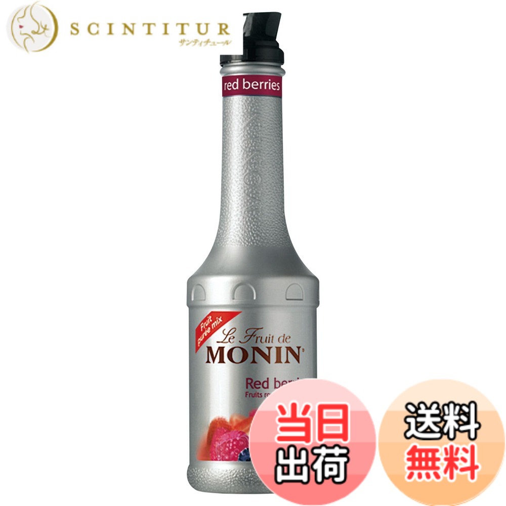 【送料無料】MONIN(モナン) フルーツミックス 1L