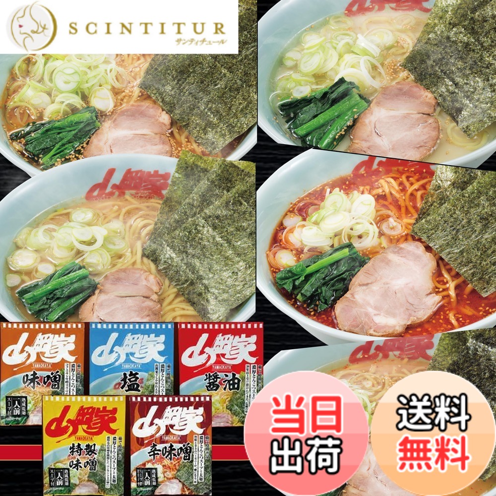 【貨物輸送無料】【山岡家】【定め事売りわたす店】ラーメン （乾麺） 5類概念 食べ比べ書き割り （5x2） 10食入り口・入口 5種2食入 10食書き割り インスタントラーメン 北海道 札幌【北海道好いたらしいね証券業界】