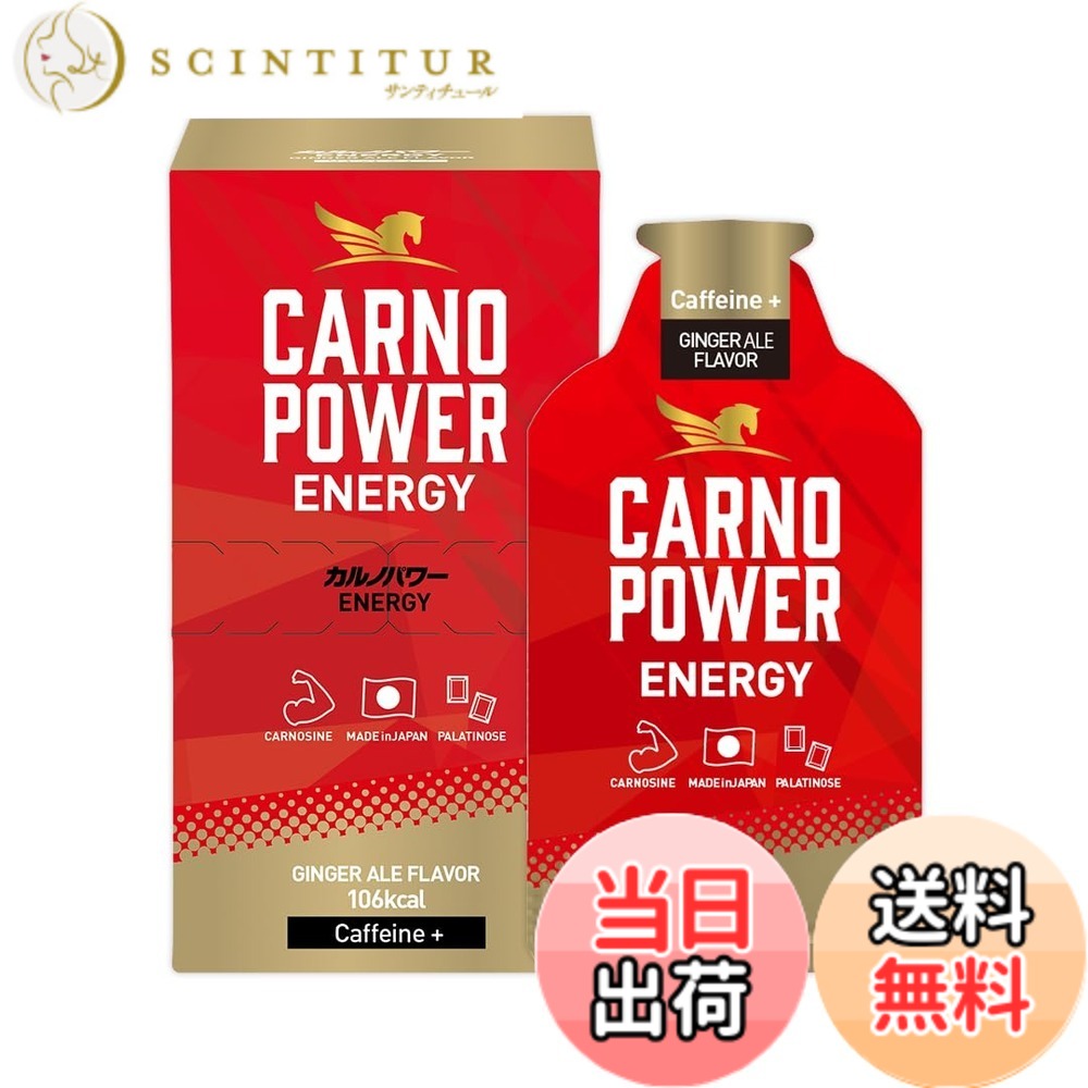 【送料無料】カルノパワーENERGY (10個箱入り, ジンジャーエール)