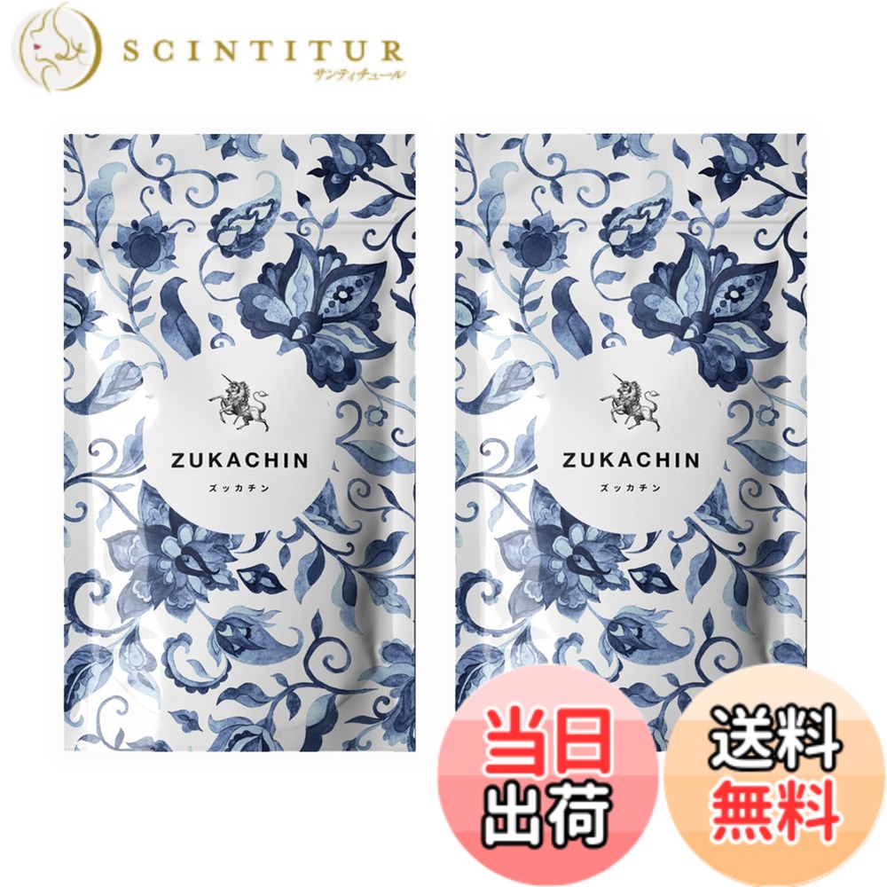 【送料無料】【ZUKACHIN ズッカチン 120粒（60粒x2袋） 2ヶ月分】 亜鉛 マカ 日本製 サプリメント アルギニン シトルリン 高麗人参 ガラナ 活力アップ ニンニク不使用 サプリ