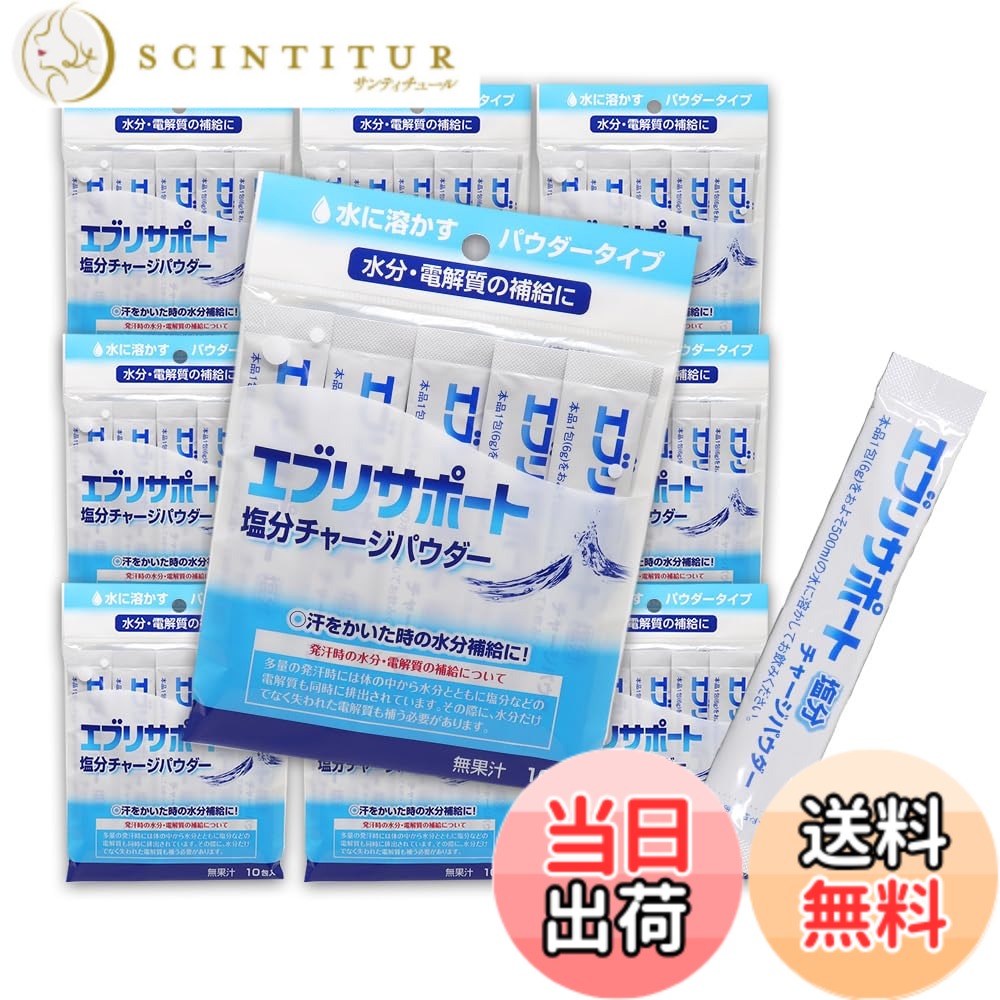 【貨物輸送無料】鹹味受け持ち 黒色火薬 火薬 10包入 x10個（計100包) エブリサポート 無フルーツジュース 日本飲み薬 水分・電解質の付けたしに サプリメント-ダイエット・健康-クエン酸