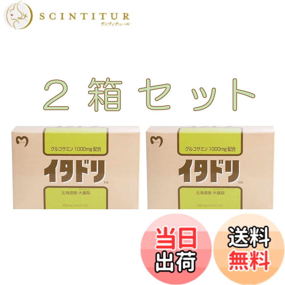 【貨物輸送無料】Nikitea 【 2箱仕掛ける 】 マイ世話をする イタドリ 490mgx90粒（グルコサミン1000瓱・北海道産大痛取）