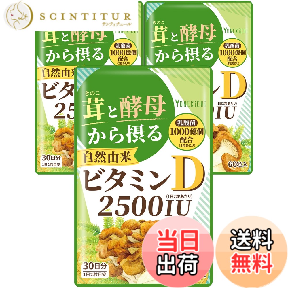 【貨物輸送無料】【気取らない謂われ因縁 ヴィタミンD 加えること】2500IU 茸と酵母菌から摂るヴィタミンD（舞茸 エリンギ 酵母菌） 乳酸菌 1000億個練りあわせる 国内生み出すこと 60粒 3袋書き割り