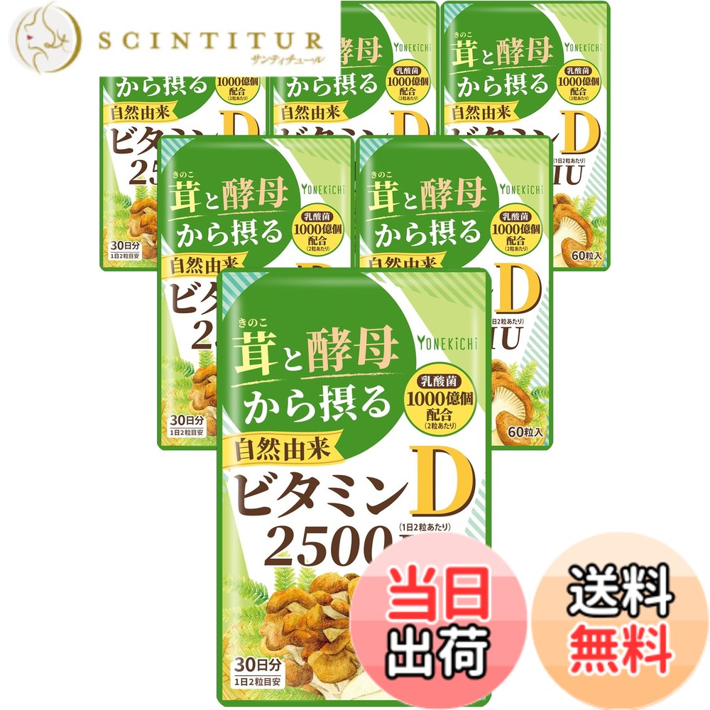 【貨物輸送無料】【気どらずに謂われ因縁 ヴィタミンD 加えること】2500IU 茸とパン種から摂るヴィタミンD（舞茸 エリンギ パン種） 乳酸菌 1000億個組みあわせる 国内生み出すこと 60粒 6袋書き割り