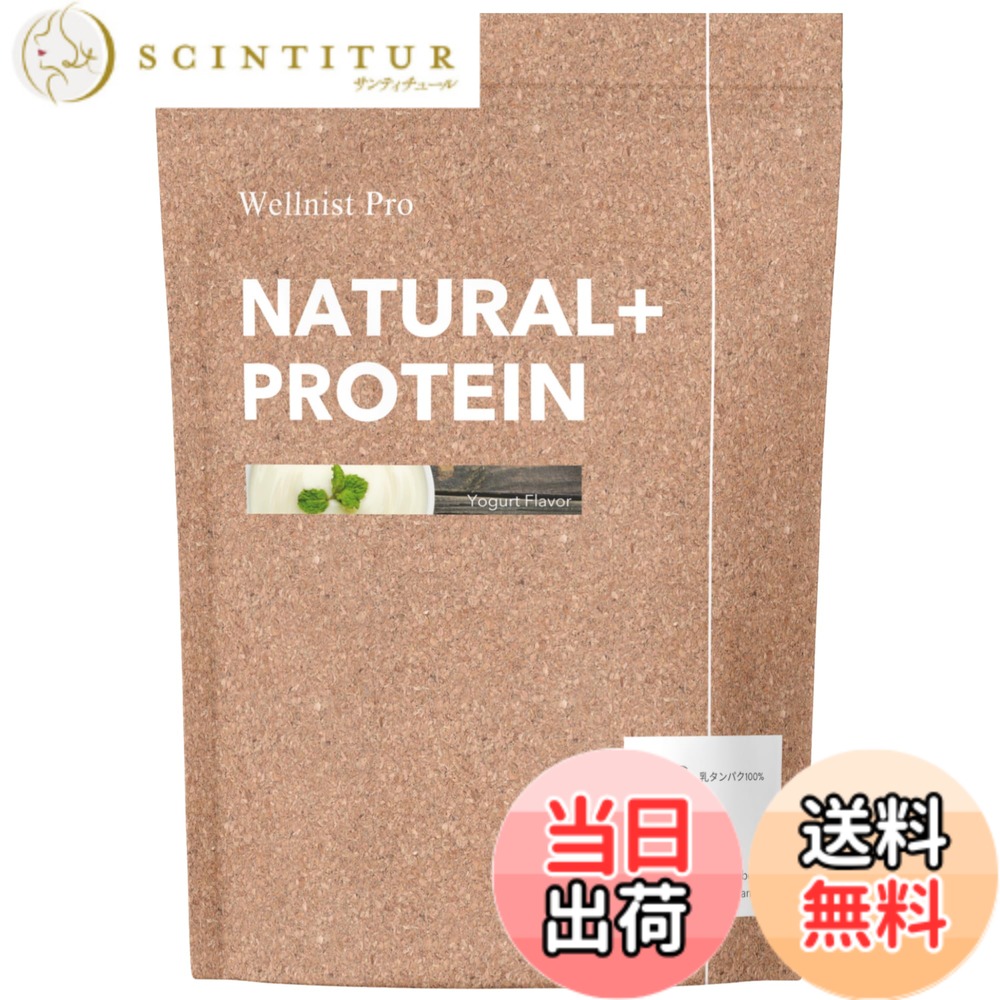 【貨物輸送無料】Wellnist Pro NATURAL+ PROTEIN ウェルニストプロ 自然的 ホエイプロテインヨーグルト 1kg 国内生み出すこと 形づくる 思わしい 美容 サプリメント-プロテイン-ホエイプロテイン
