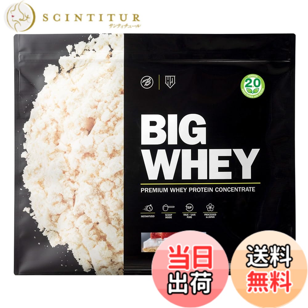【貨物輸送無料】バルク運動競技 タンパク質 ビッグホエイ ホエイプロテイン 人工あま味料不当て嵌める 甘さ慎みぶかい 5kg オランダ苺西洋菓子味わい WPC