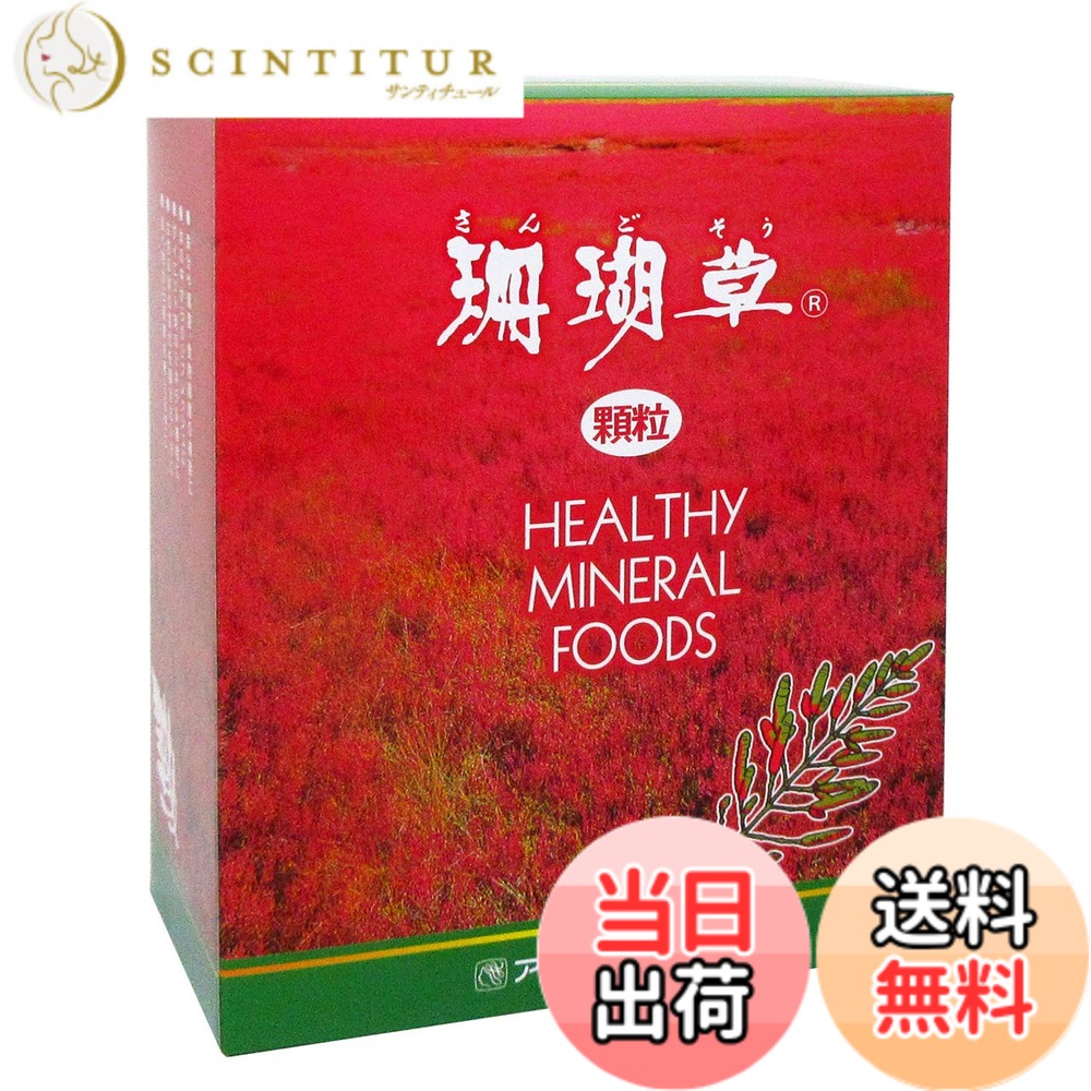 【貨物輸送無料】赤珊瑚草 90A 細粒 90包入 個荷拵え