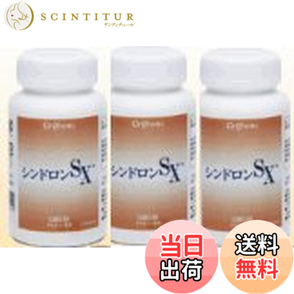 【貨物輸送無料】シンドロンSX 3本仕掛ける