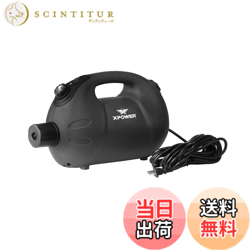 【送料無料】XPower 高性能電気環境に優しいウルフ・フォガー噴霧器 (F-16)|サンティチュール
