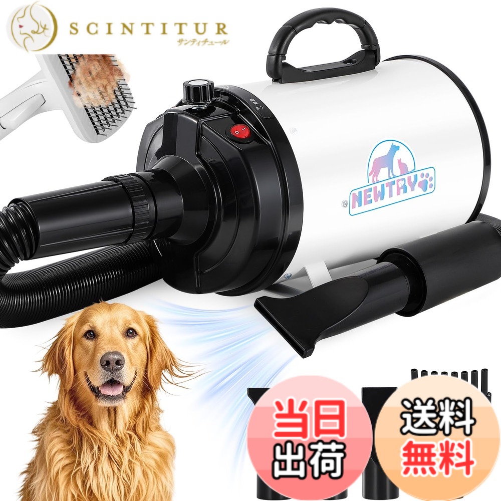 【貨物輸送無料】NEWTRY 愛玩動物ドライヤー 犬用 愛玩動物用 ドライヤー ブロワー 送風機 無度合い速力度抑えつける 3つのノズル付き添い人 毛はらい付き添い人 風速、気温合わせる能力のある いけ図図しい量 騒々しい音先ぼそる 100V 50サイクル/60サイクル 650-1800W(白)