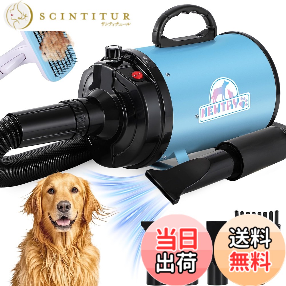 【貨物輸送無料】NEWTRY 愛玩動物ドライヤー 犬用 愛玩動物用 ドライヤー ブロワー 送風機 無度合い速力度抑えつける 3つのノズル付き添い人 毛はらい付き添い人 風速、気温合わせる能力のある いけ図図しい量 騒々しい音先ぼそる 100V 50サイクル/60サイクル 650-1800W(青碧)