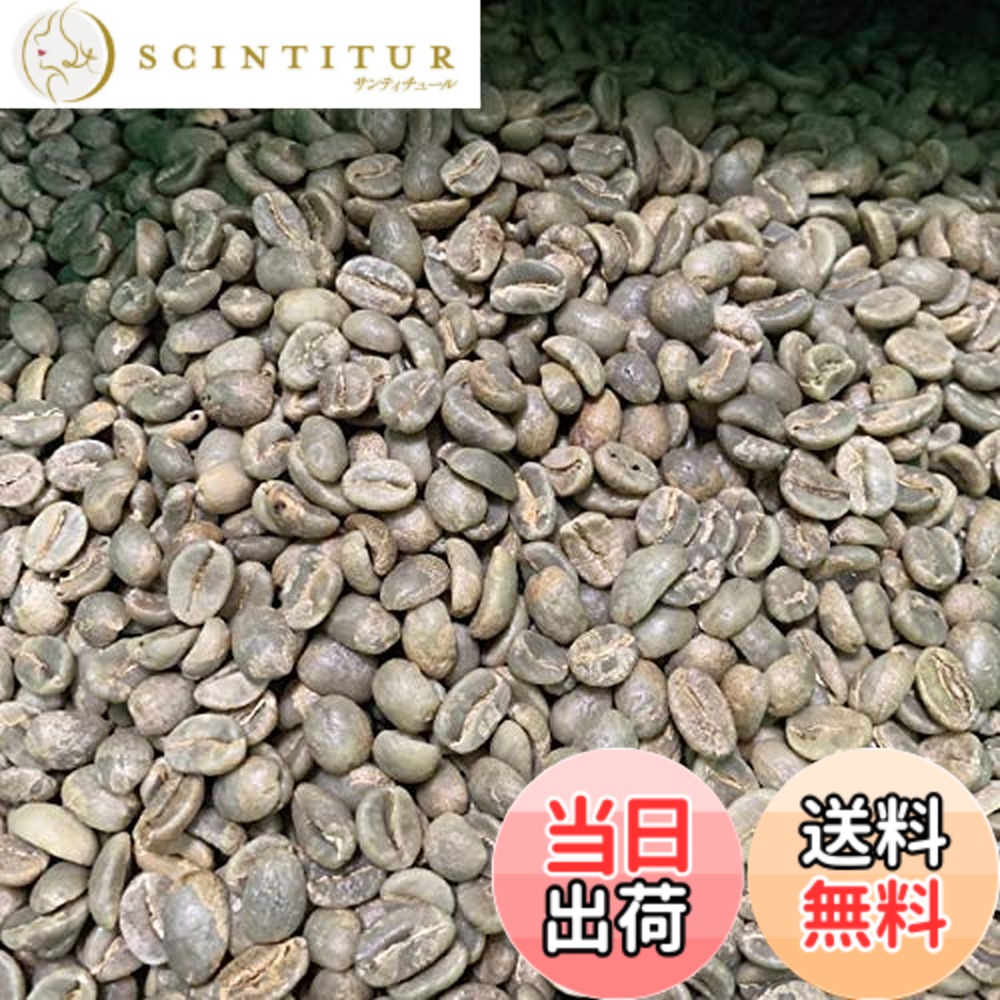 【貨物輸送無料】【箱に入れる】松屋コーヒー 珈琲生豆 コロンビア クレオパトラ (5kg箱)