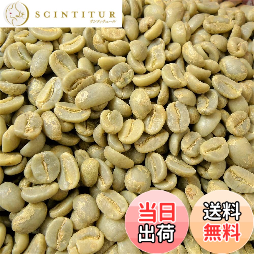 【貨物輸送無料】珈琲生豆 ジャマイカ産 青み山岳 No.1 ブルマン 未焙煎 907g (2lbs) クライスデール 珈琲豆 生豆 014151.com