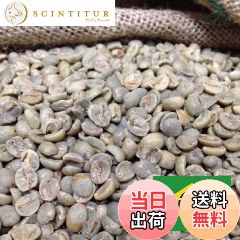 【貨物輸送無料】松屋コーヒー 珈琲生豆 ブラジル連邦共和国 サントス No.2 17/18 (5kg箱)