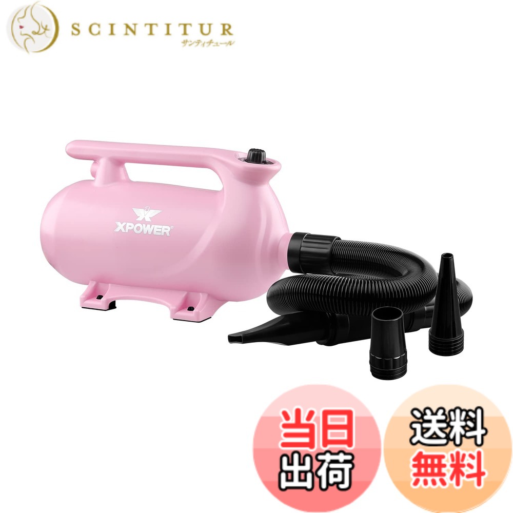 【貨物輸送無料】XPower B-163愛玩動物ドライヤー 低騒々しい音 二度合い調節する能力のあるな熱据え付ける 参のノズル付き添い人 持ちはこぶ用愛玩動物用ドライヤー 3色オプション (さくら色)