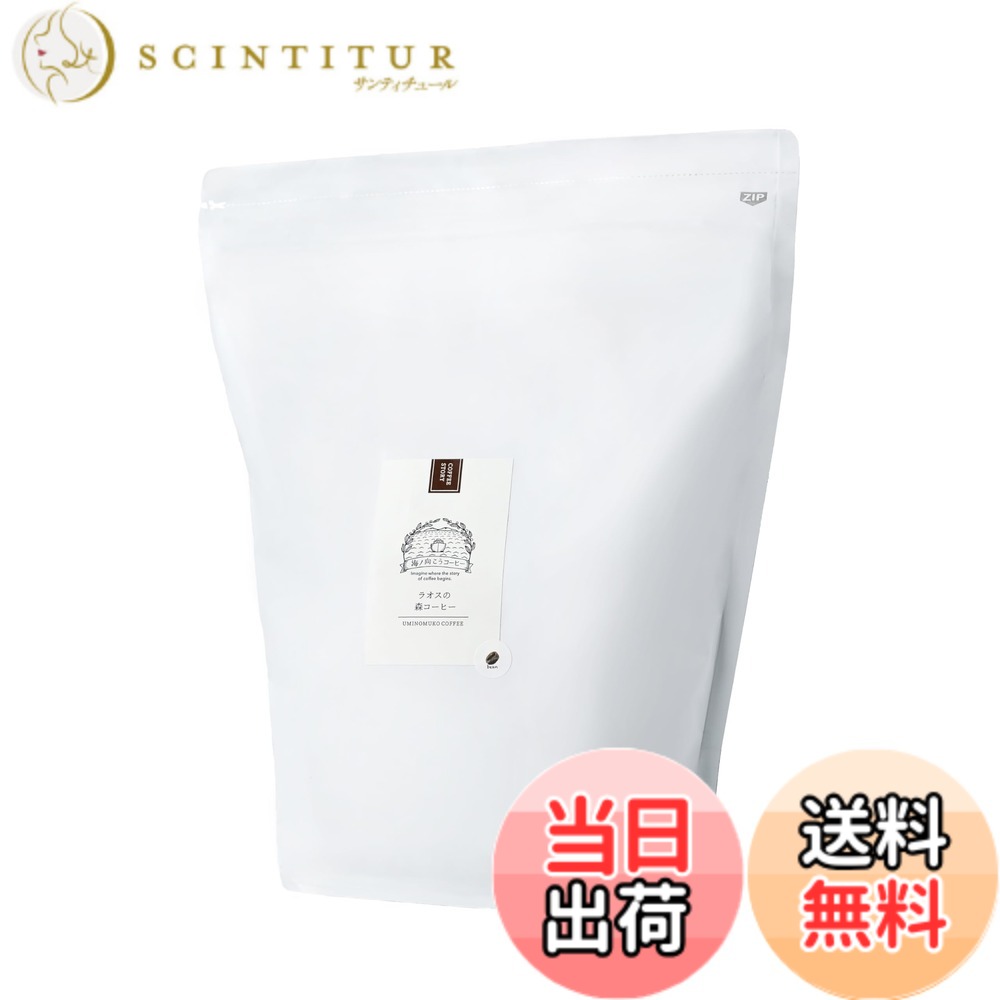 【貨物輸送無料】海ノ向こう珈琲 豆 (1kg, ラオス人民民主共和国の森)