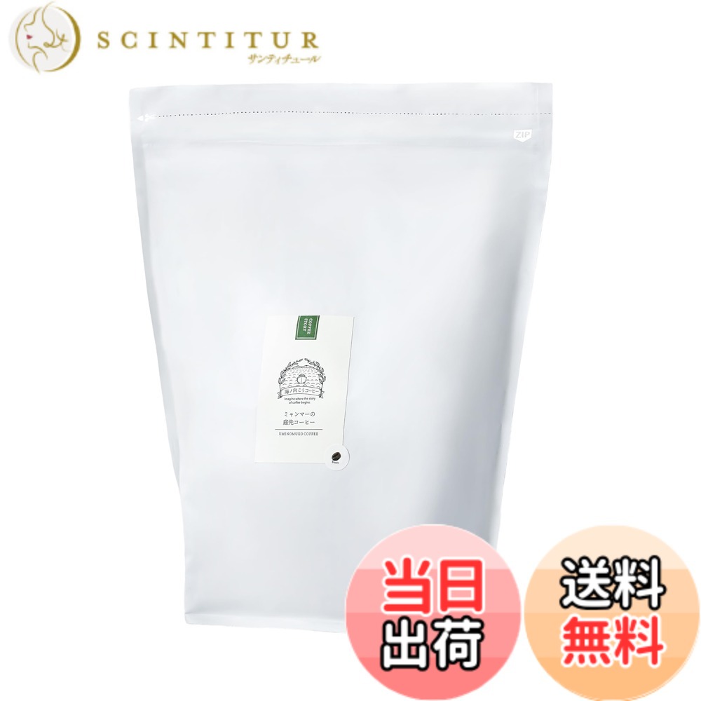 【貨物輸送無料】海ノ向こう珈琲 豆 (1kg, ビルマの庭前)