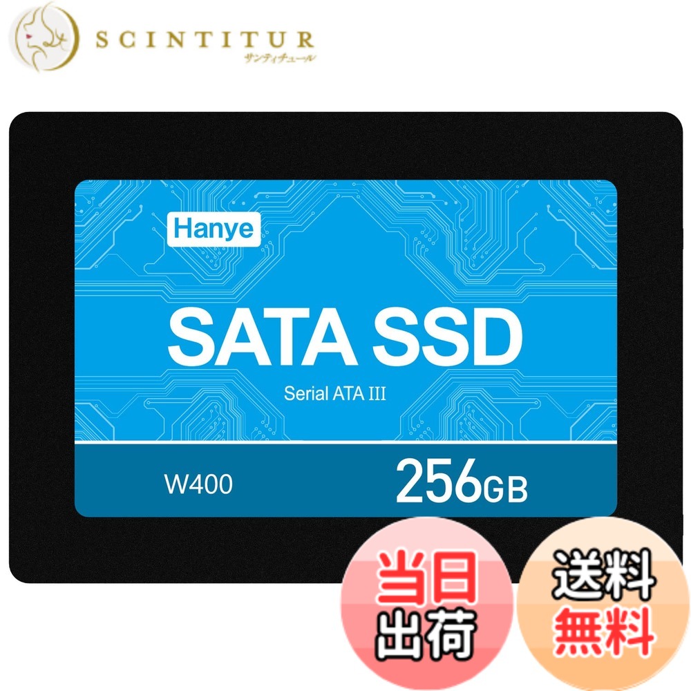 【貨物輸送無料】Hanye SSD 256GB 3D NAND 高耐久TLC 召しかかえる 内蔵 2.5in SATAIII 6Gb/s 520MB/s 軽銀製筐体 W400-256G 国内定め事代わりになる店品 製造会社3年