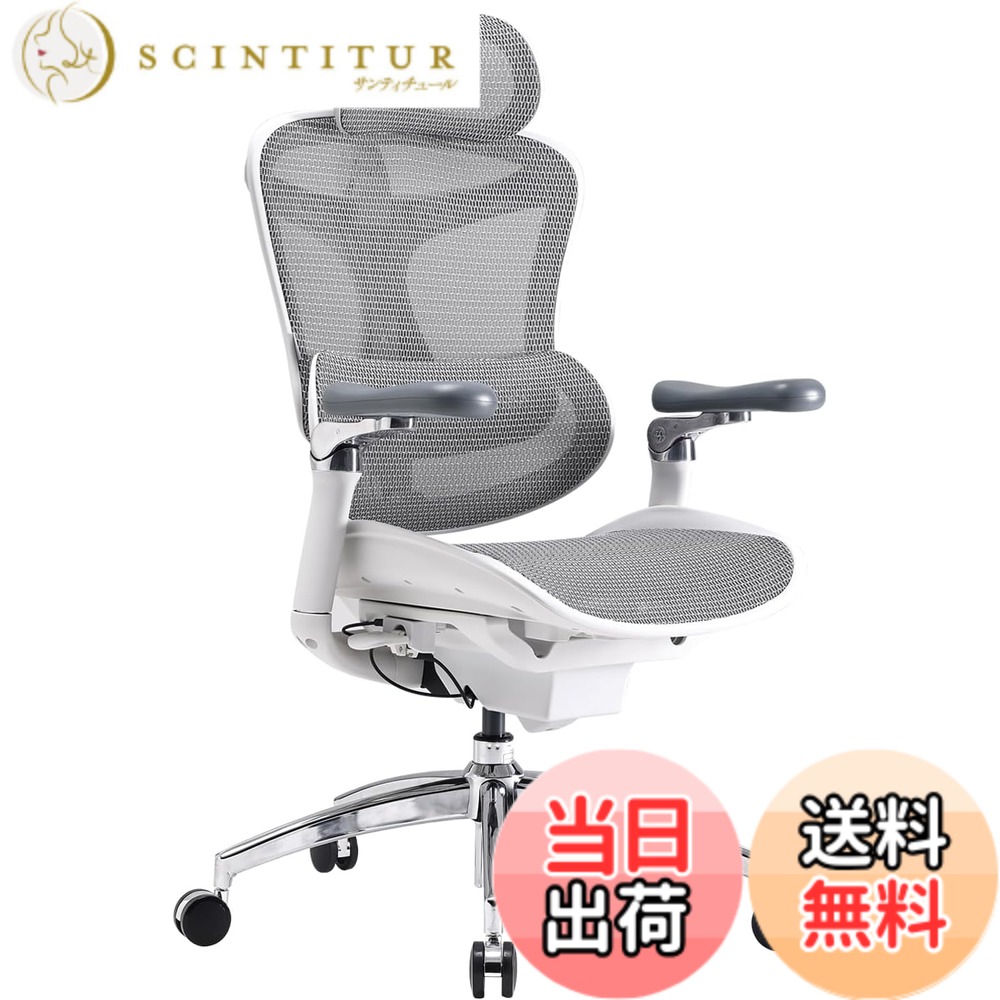 【貨物輸送無料】SIHOO Doro C300 Pro 事務室女性議長 万物の霊長科学技術 腰掛け 事務机女性議長 メッシュ女性議長 ドミノ自動小銃自然調整ランバーサポート 135°リクライニング 6D聯絡アームレスト 3Dメカニカルヘッドレスト 体圧分散座布団 Cloud高弾力性メッシュ 裏昇降役立つこと 耐荷重135k