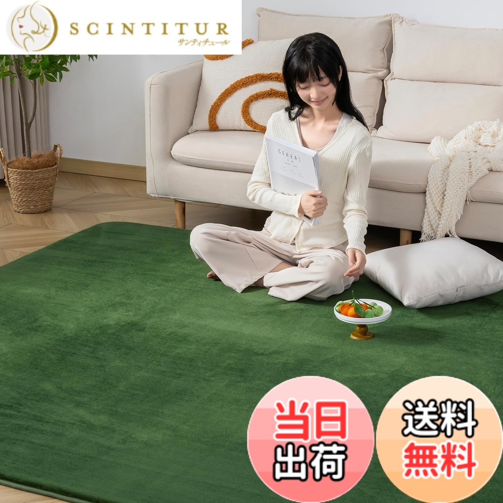 【送料無料】Keusnix ラグ カーペット 高反発 ラグマット 極厚25mm 絨毯 厚手 200x250cm 約3畳 滑り止め付 抗菌・防ダニ加工 オールシーズン快適 リビングマット ふわっと手触り じゅうたん こたつマット 床暖房・ホットカーペット対応 グリーン｜サンティチュール 7,865円