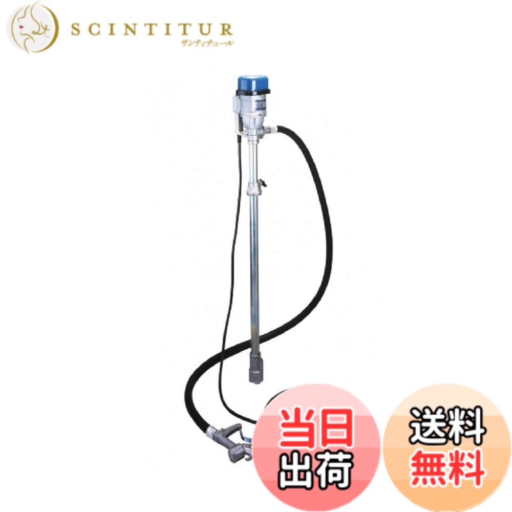 【送料無料】工進(KOSHIN) フィルポンプ 12Ｖタイプ FD12｜サンティチュール