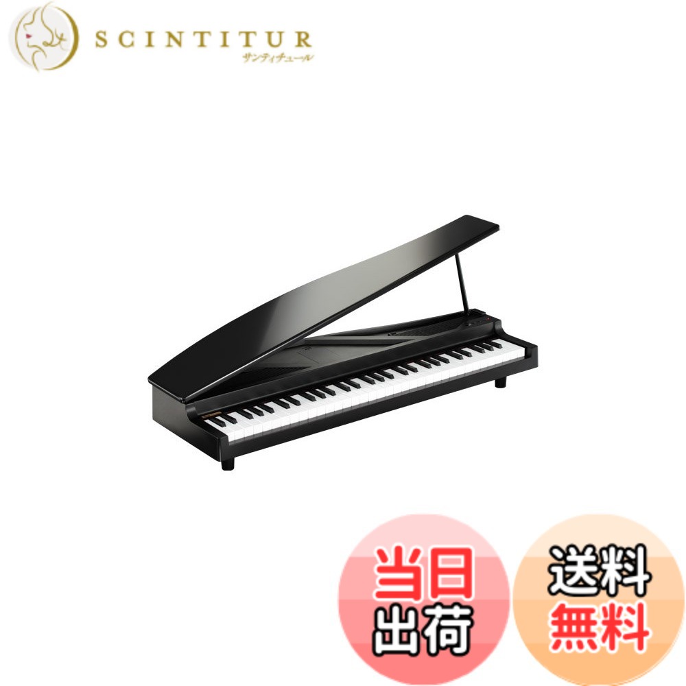 【送料無料】KORG MICROPIANO マイクロピアノ ミニ鍵盤61鍵 ブラック 61曲のデモソング内蔵 自動演奏可能