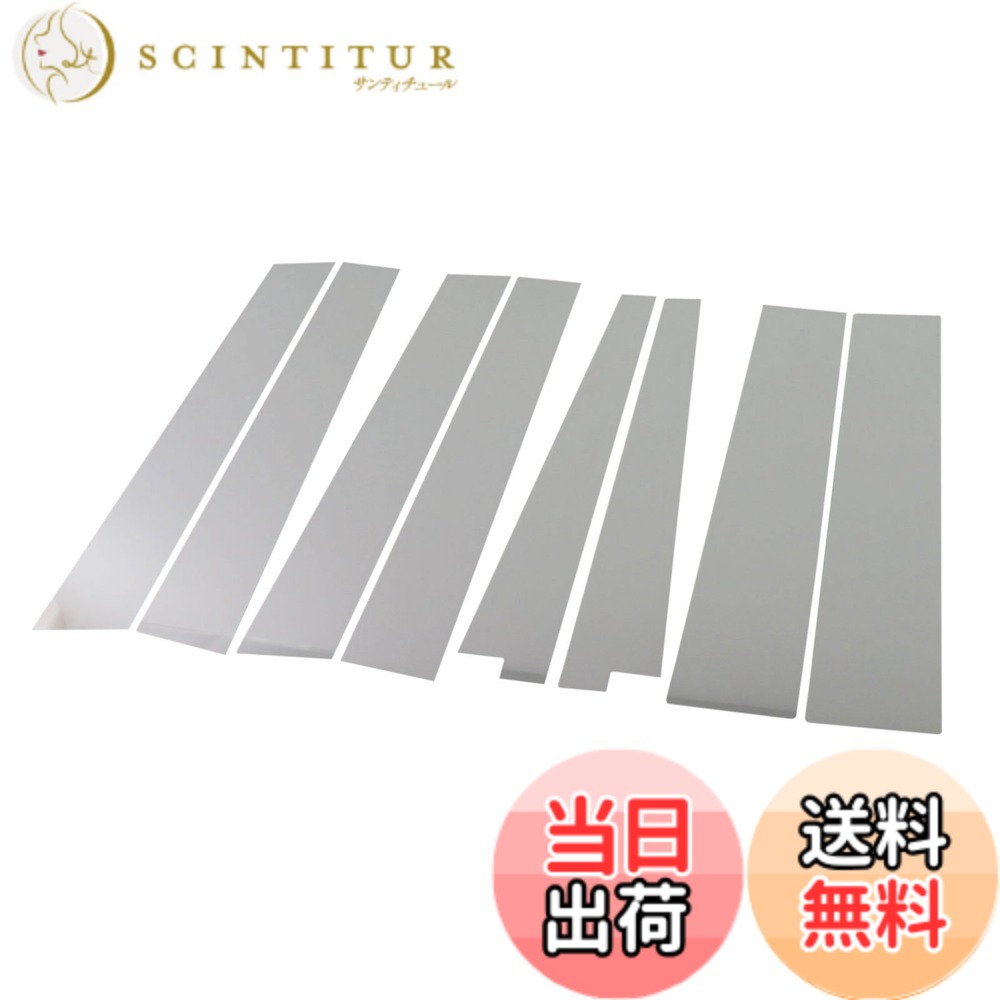 【送料無料】BRIGHTZ ステップワゴン RG1-4 超鏡面ステンレスメッキピラーパネル バイザー無用 8PC 【 PIL-SIL-211 】 RG1 RG2 RG3 RG4 G1 G2 G3 G4 1 2 3 4 1228