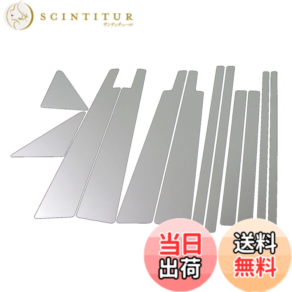 【送料無料】BRIGHTZ ランクル 100 超鏡面ステンレスメッキピラーパネル 12PC バイザー有用 【 PIL-SIL-369 】 HDJ101K UZJ100W HDJ UZJ HDJ101 UZJ100 J100 J101 ランドクルーザー 1164
