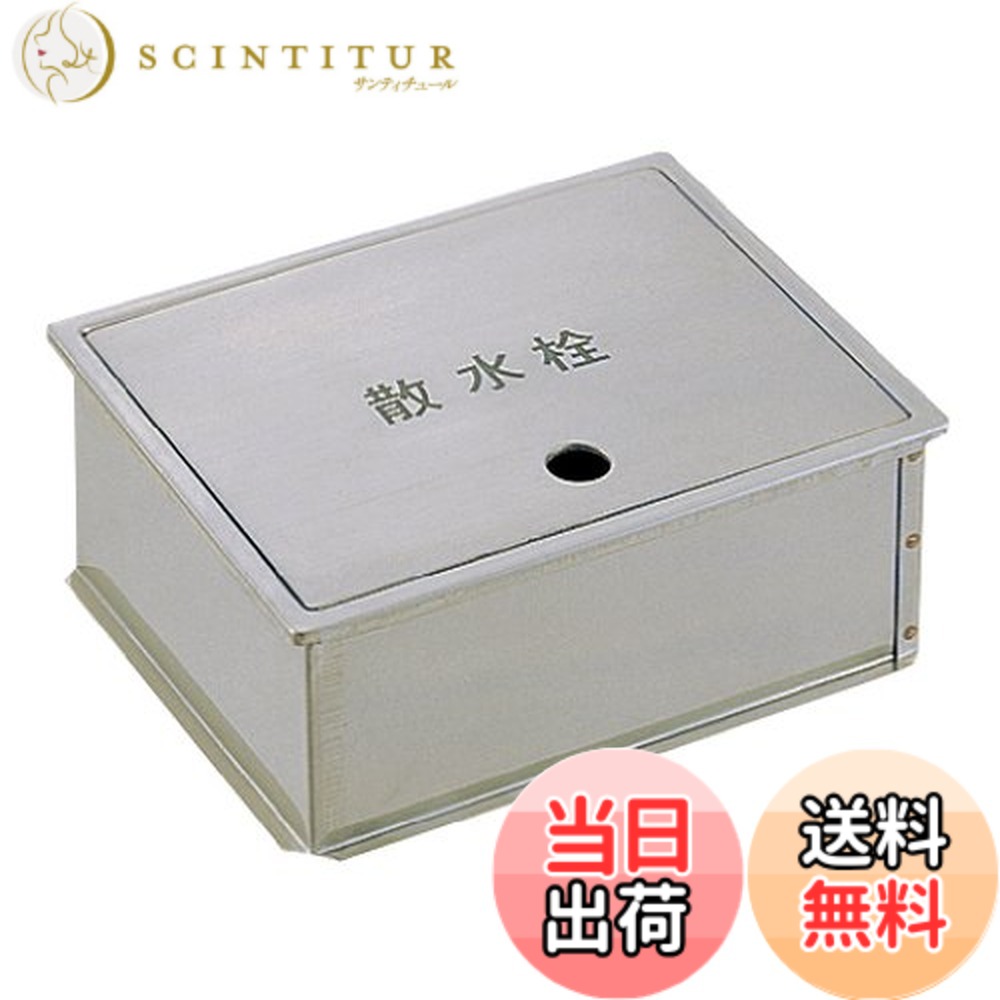 【送料無料】SANEI(サンエイ) 【散水栓ボックス】 床面用 ヘアライン仕上げ R81-5-250X300