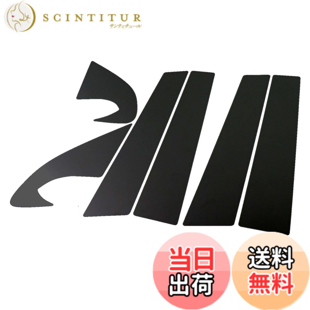 【送料無料】BRIGHTZ デュアリス J10 超鏡面ブラックメッキピラーパネルカバー 6PC バイザー無し用 【 PIL-BLA-249 】 5107