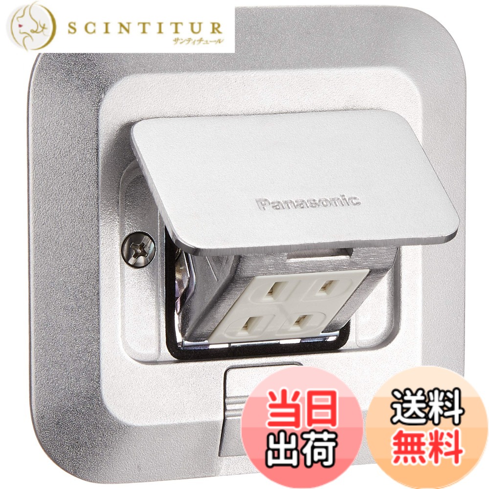 【貨物輸送無料】パナソニック(Panasonic) アップコンシルバー 営造物・バス発着場用 角型 2コ用 2P15A 125V DU5340P