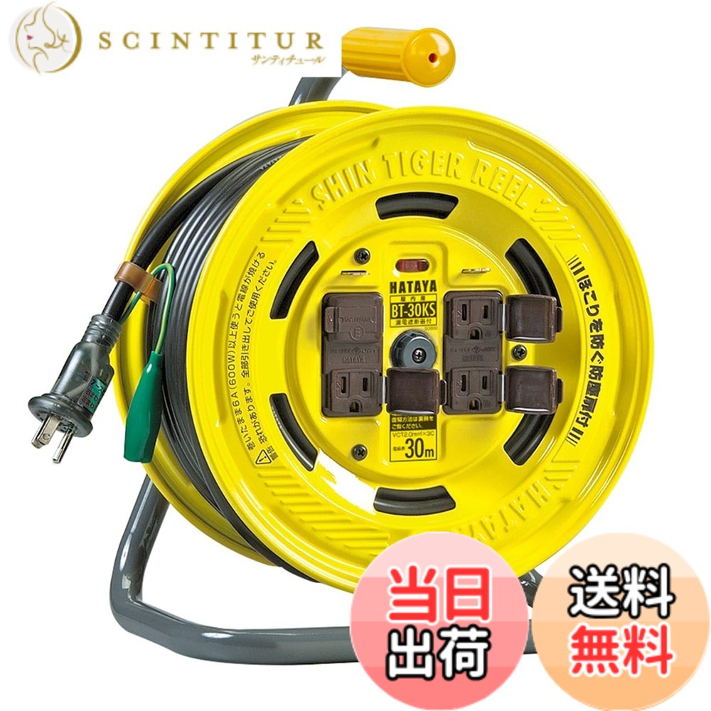 【貨物輸送無料】ハタヤ (HATAYA) 吊りひも木管 屋内用 100V型 吊りひも30m 太さ2.0 短絡立ちはだかる器 舞い降りる付 フキュートビプラグ遣りくち 気温検出器内蔵 (電話線溶ける押しとどめる役立つこと) 差し込み4個 差し込み防塵扉付 飛行士照明ランプ内蔵 身寄り用 工業プラント用 組み上げる一こま シンタイガーリール BT-