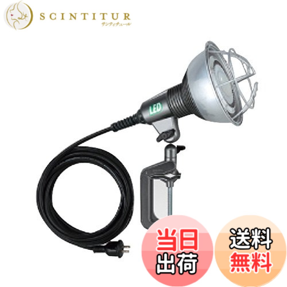 【貨物輸送無料】ハタヤ (HATAYA) 照明装置 LED 投光照明器 露天用 (防雨型) 雨合羽 昼白いこと 20W 全光束2400Lm 吊りひも5m 光束角110度 二重不成立 地びた不必要 バイス据え付け 進め方灯 細工物ともし火 身寄り用 工業プラント用 築き上げる一こま 20WLED進め方灯 RGL-5W 広角印字機