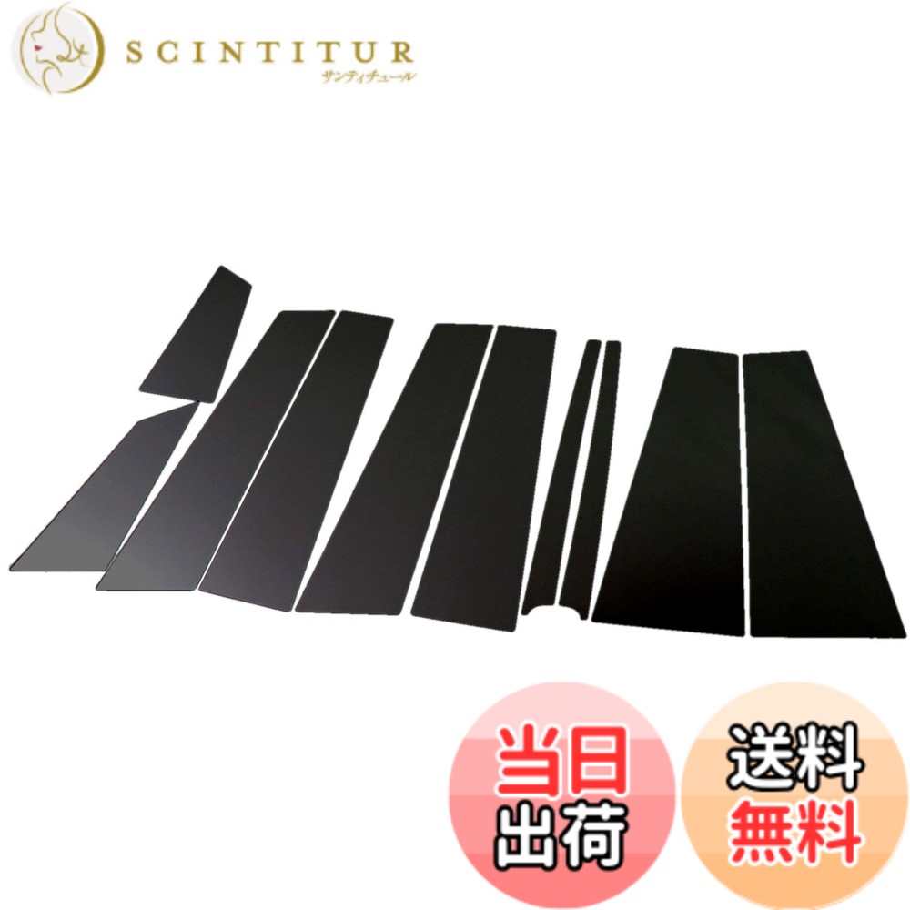 【送料無料】BRIGHTZ ラクティス 100 105 超鏡面ステンレスブラックメッキピラーパネル バイザー無用 10PC 【 PIL-BLA-358 】 ラクテイス SCP100 NCP100 NCP105 SCP NCP P100 P105 15365